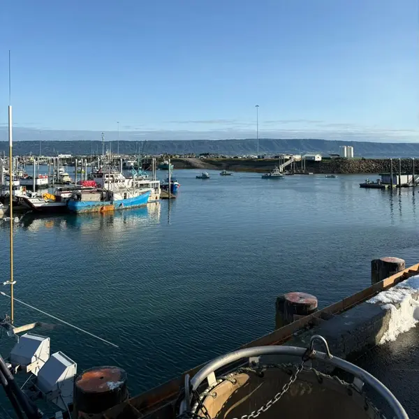 Boats in the harbor, mountains across Kachemak Bay