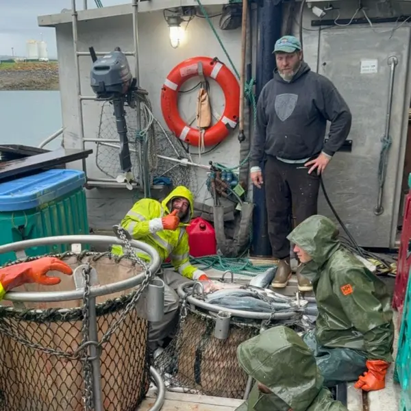 The skipper checks the work — thumbs up