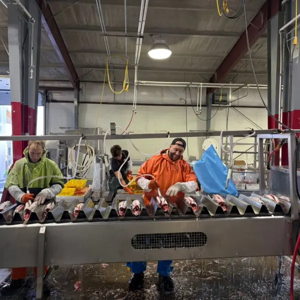 Keeping it clean on the line — quality first