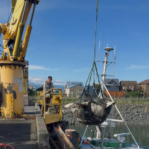 Jeff Choinski on the dock crane