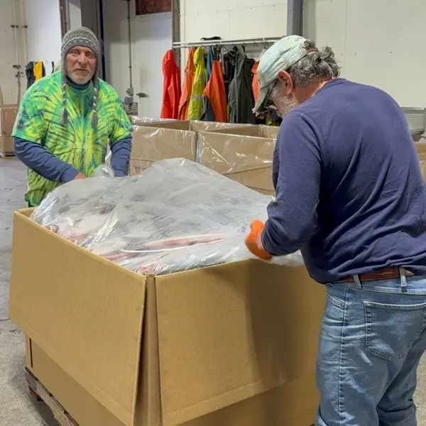 Toting up sockeye before it ships to cold storage