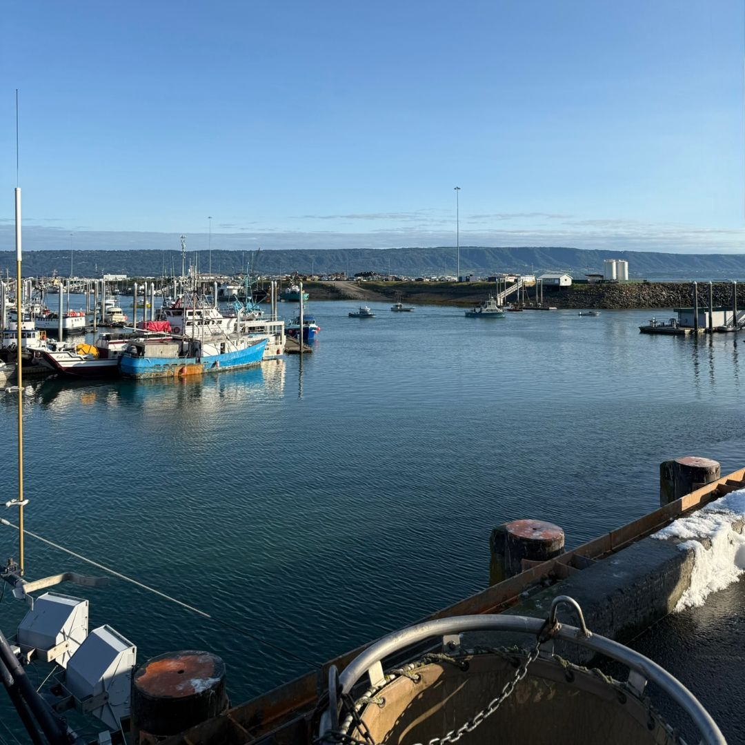 Boats in the harbor, mountains across Kachemak Bay