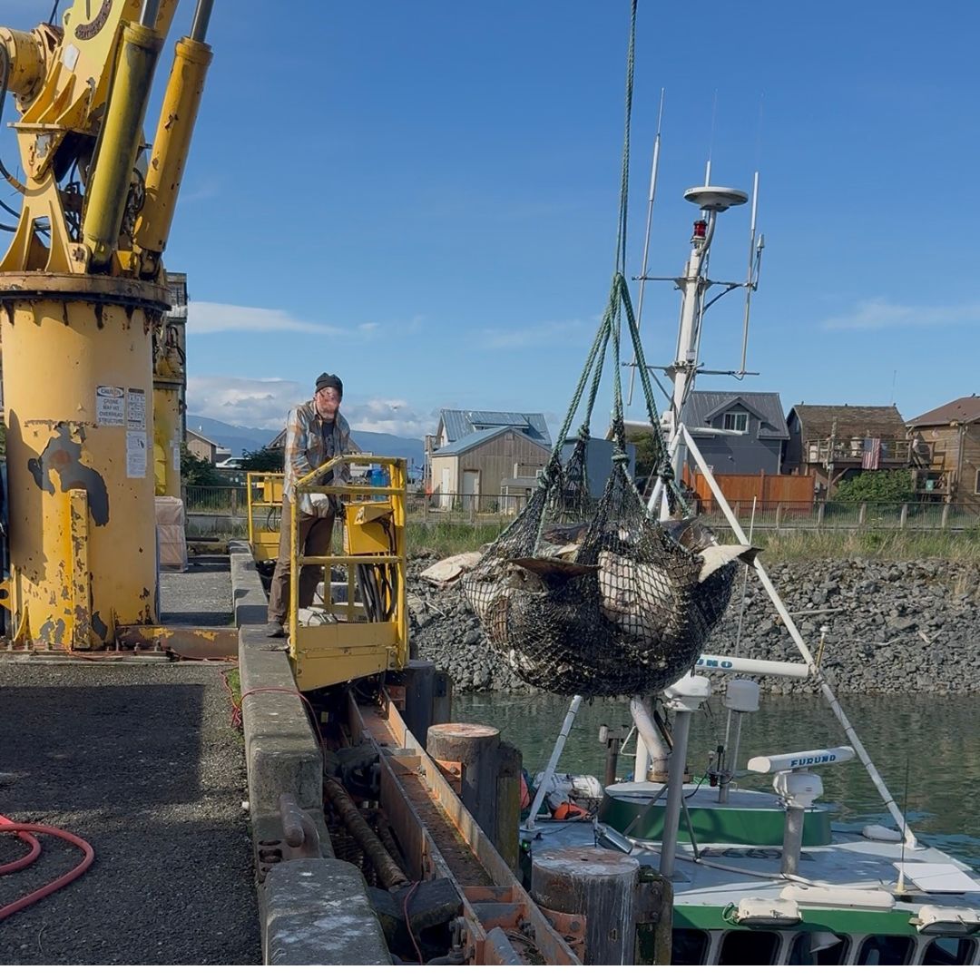Jeff working the offload crane